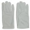 Costumes For All Occasions FW9072WT Gloves White view 1