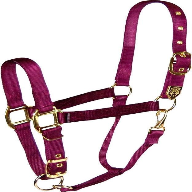 Hamilton Deluxe Horse Halter, 1" Triple Ply Nylon, Adjustable Chin Strap, Easy On/Off Throat Snap, Average Horse, Arabian, or Yearling Draft, 800-1100 lbs, Wine