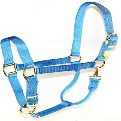 Hamilton Quality Horse Halter, 1" Triple Ply Nylon, Average Horse, Arabian, or Yearling Draft, 800-1100 lbs, Berry Blue