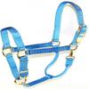 Hamilton Quality Horse Halter, 1" Triple Ply Nylon, Average Horse, Arabian, or Yearling Draft, 800-1100 lbs, Berry Blue view 1
