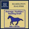 Hamilton Quality Horse Halter, 1" Triple Ply Nylon, Average Horse, Arabian, or Yearling Draft, 800-1100 lbs, Berry Blue view 4