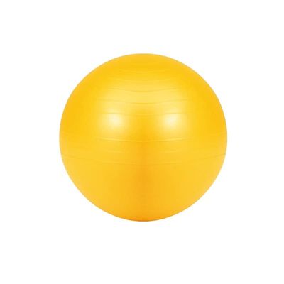 Evernew ETB623 Gym Ball 55