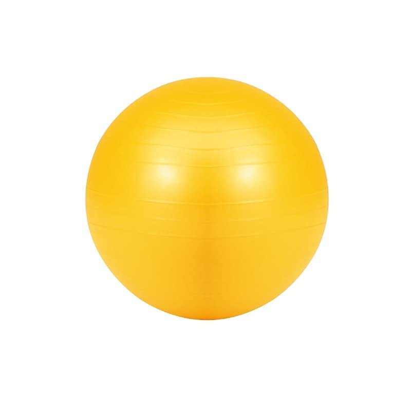 Evernew ETB623 Gym Ball 55