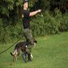 Propper BDU Trouser Button Fly - Battle Rip 65/35 Ripstop view 2