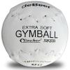 Worth DeBeer XF12 Clincher Stitch 12" Trutech Leather Softie Gymball view 1