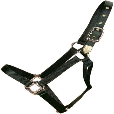 Hamilton Deluxe Horse Halter, 1" Triple Ply Nylon, Yearling or Standard Donkey, 300-500 lbs, Black