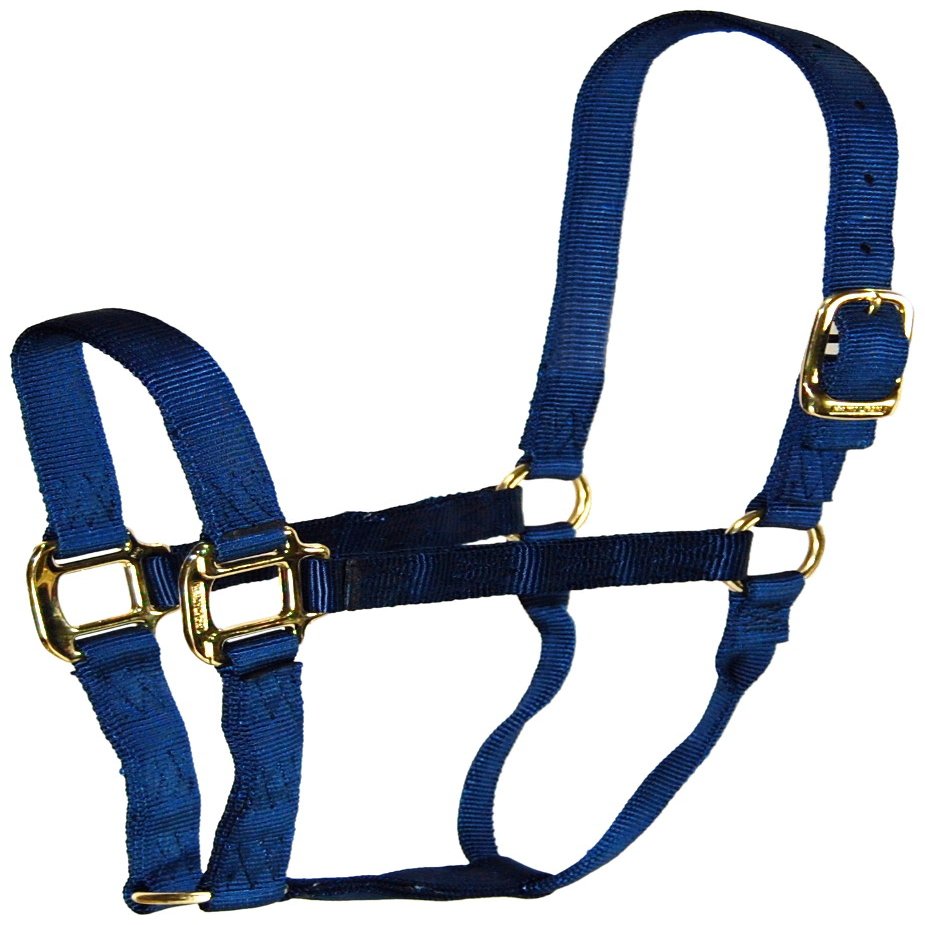 HAMILTON S53 1 Inch Quality Nylon Horse Halter Products USA Navy