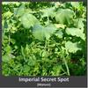 Whitetail Institute Secret Spot Deer Food Plot Seed - Annual Forage Designed Specifically for Smaller, Remote Food Plots - Can Be Planted with Hand Tools, 4 lbs (9000 sq ft) view 4