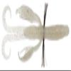 Bait Breath Lure BYS Craw 3.5in #157B White Pearl view 1