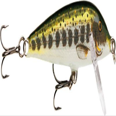Rapala MD CD3-MD Minnow Countdown Universal Color 1.2 inches (3 cm), 0.1 oz (4 g) Muddler Lure