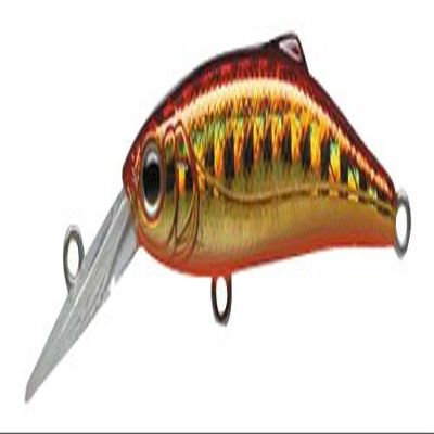 TackleHouse No13 SD43 Buffett Minnow, 1.7 Inches (43 mm), 0.1 Oz (2.2 g), Gold Red/Orange Berry