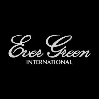Evergreen Sticker Evergreen Boat Decal M Silver