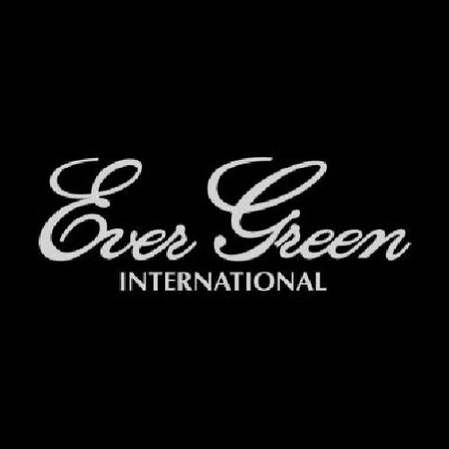 Evergreen Sticker Evergreen Boat Decal M Silver