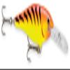 Rapala Shad Rap 09 Fishing lure, 3.5-Inch, Hot Tiger view 1
