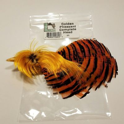 Rumpf Golden Pheasant Complete Head
