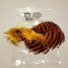 Rumpf Golden Pheasant Complete Head view 1