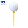 DAIYA Golf TE-432 Repro Tee Long White view 2