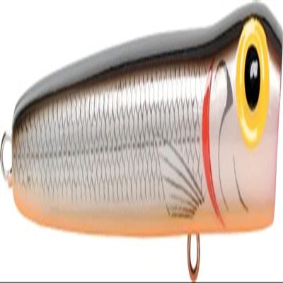 Storm Chug Bug 08 (Tennessee Shad, Size- 3.25)