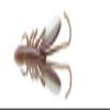 Eco Gear baguantu 2 Inch view 1