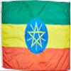 Annin Flagmakers Ethiopia Flag USA-Made to Official United Nations Design Specifications, 4 x 6 Feet (Model 192546) view 1