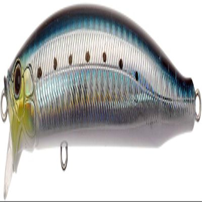 TackleHouse, Minnow, Contact, Feed, Shallow 4.1 inches (105 mm), 0.6 oz (16 g), No9 Slit HG Sardine Lure