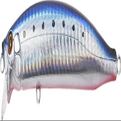 TackleHouse, Minnow, Contact, Feed, Shallow 4.1 inches (105 mm), 0.6 oz (16 g), No10 HG Sardine Red Berry Lure