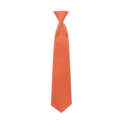 Tuxedo Park Tangerine Satin Boys Pre-Tied Neck Tie