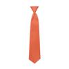Tuxedo Park Tangerine Satin Boys Pre-Tied Neck Tie view 1