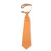 Tuxedo Park Tangerine Satin Boys Pre-Tied Neck Tie view 2