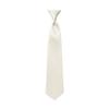 Ivory Satin Boys Pre-Tied Neck Tie view 1