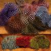 Hareline Strung Guinea Feathers Silver Doctor Blue view 1