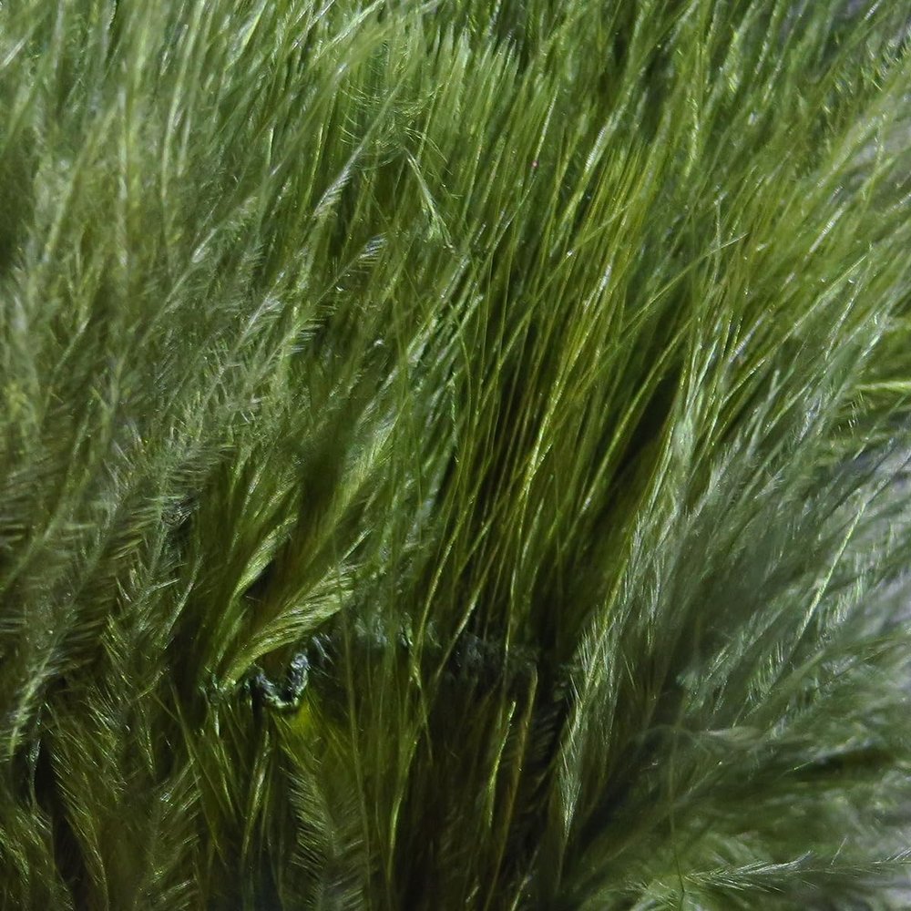 1 OZ Package Marabou Blood Quills