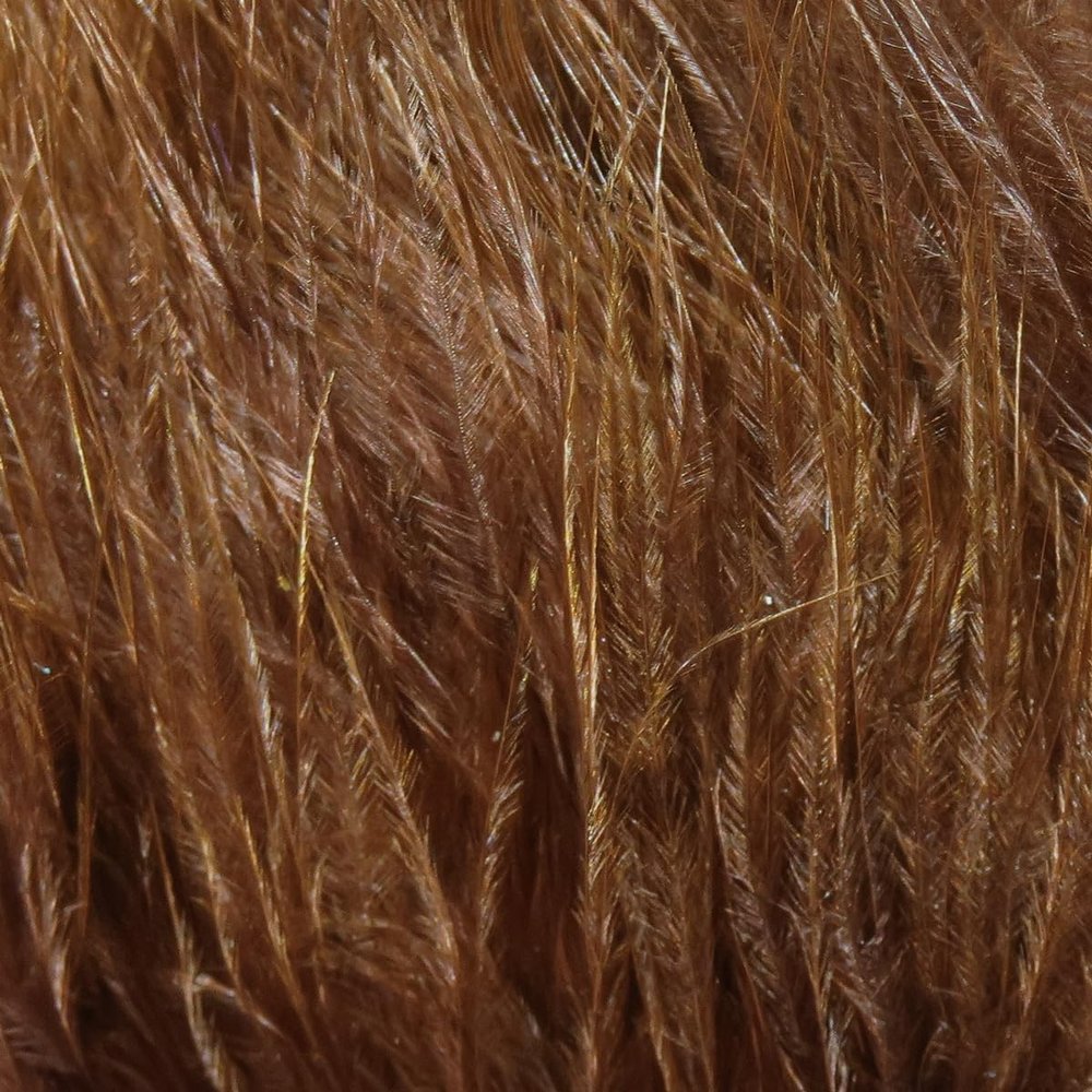 1 OZ Package Marabou Blood Quills