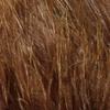 1 OZ Package Marabou Blood Quills view 1