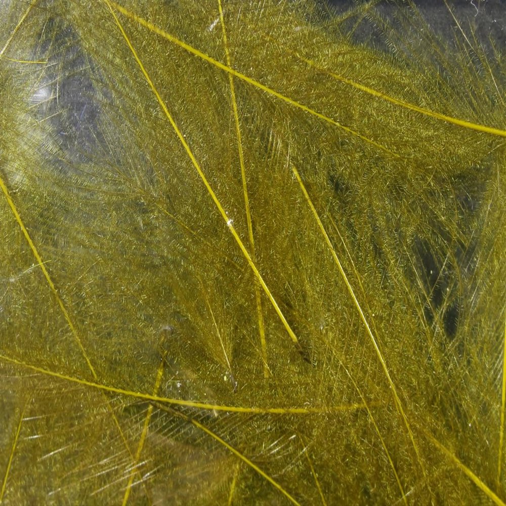 Hareline Fly Tying Cul De Canard - Bwo