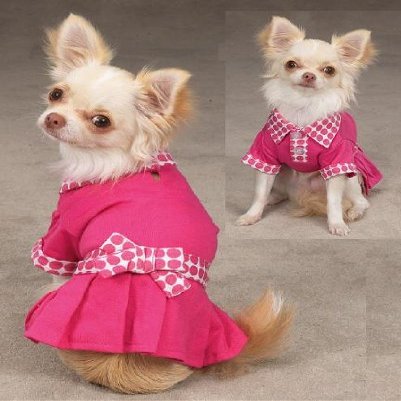Casual Canine City Tank Medium