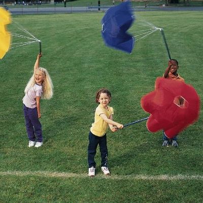 FlagHouse WindWands - Set of 12