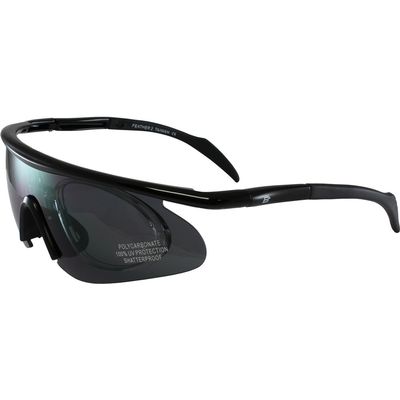 Birdz Eyewear Feather Sunglasses Black Frame with Smoke Lens