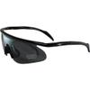 Birdz Eyewear Feather Sunglasses Black Frame with Smoke Lens view 1