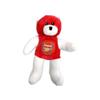 Arsenal FC Beany Bear view 1