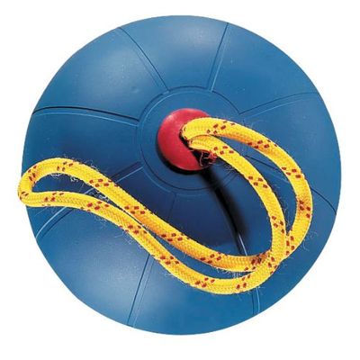 Champion Sports Equipped Medicine Ball (Blue, 6.61 Lbs)