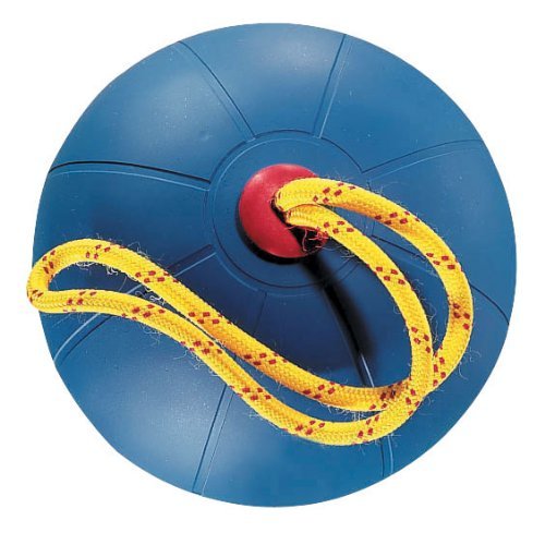 Champion Sports Equipped Medicine Ball (Blue, 6.61 Lbs)
