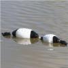 Avery Sporting Dog EZ-Bird Training Dummy  Realistic Floating Retriever Bumper for Water & Field Training (Mallard Flasher) view 4