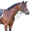 Covalliero Kerbl Martingale Auxiliary Reins with Stopper view 2