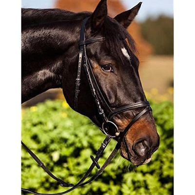 Kerbl 321743 Standard Bridle Leather for Thoroughbred Horses Brown
