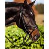 Kerbl 321743 Standard Bridle Leather for Thoroughbred Horses Brown view 1