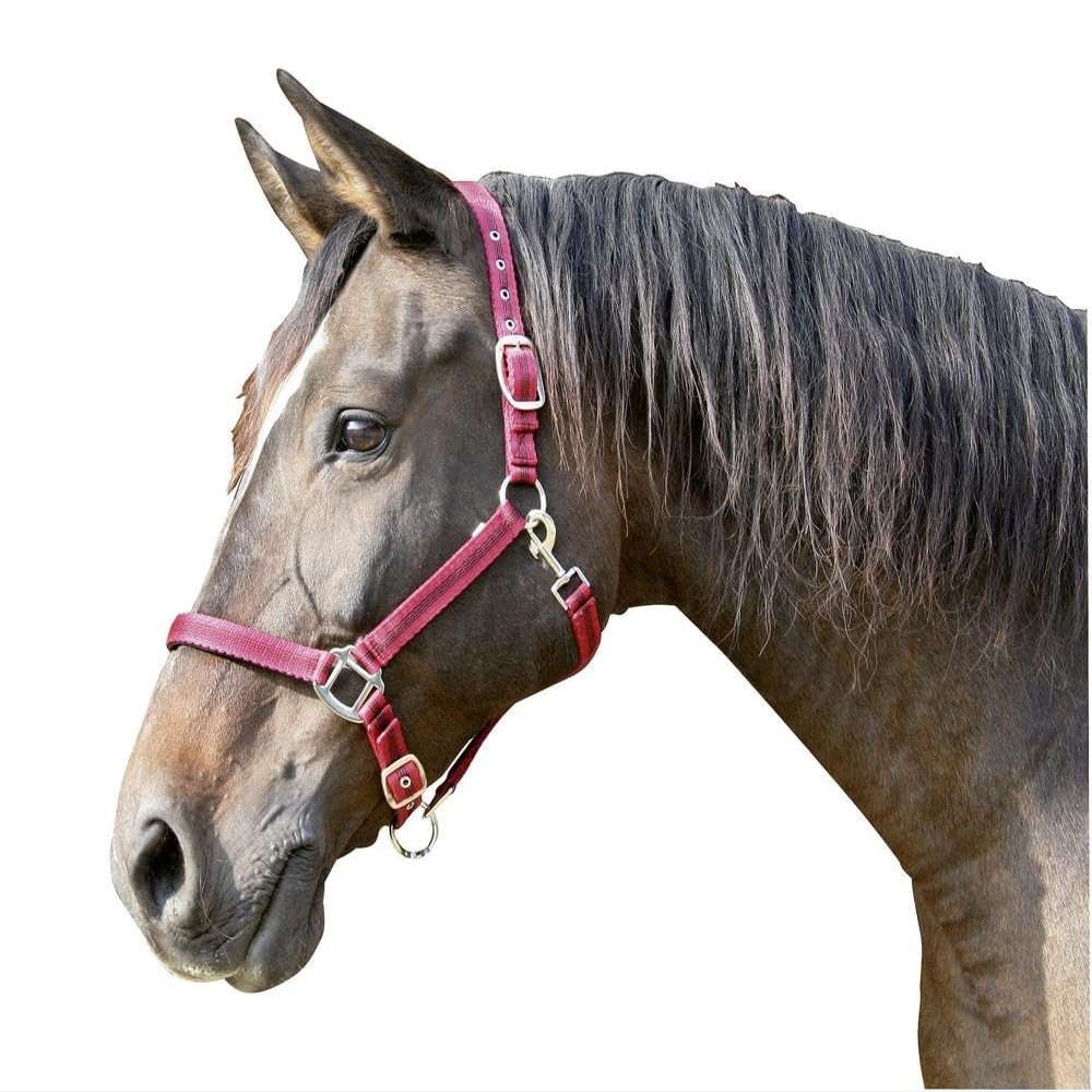 Covalliero Kerbl Unisex's Mustang Head Collar-Red/Black, Size 1