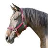 Covalliero Kerbl Unisex's Mustang Head Collar-Red/Black, Size 1 view 1