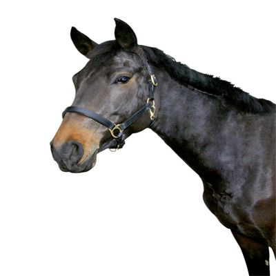 Kerbl Unisex's Eco Head Collar-Black, Size 3