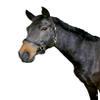 Kerbl Unisex's Eco Head Collar-Black, Size 3 view 1